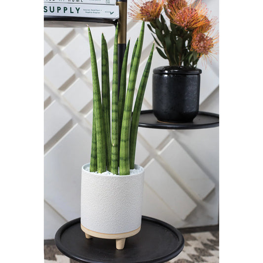 Delray Footed Pot by Accent Decor in white. Made from ceramic in a unique style.