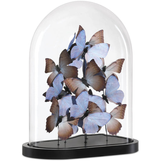 Rue De Bac Butterflies by Currey and Company. Made from paper, engineered wood, glass in a modern style.