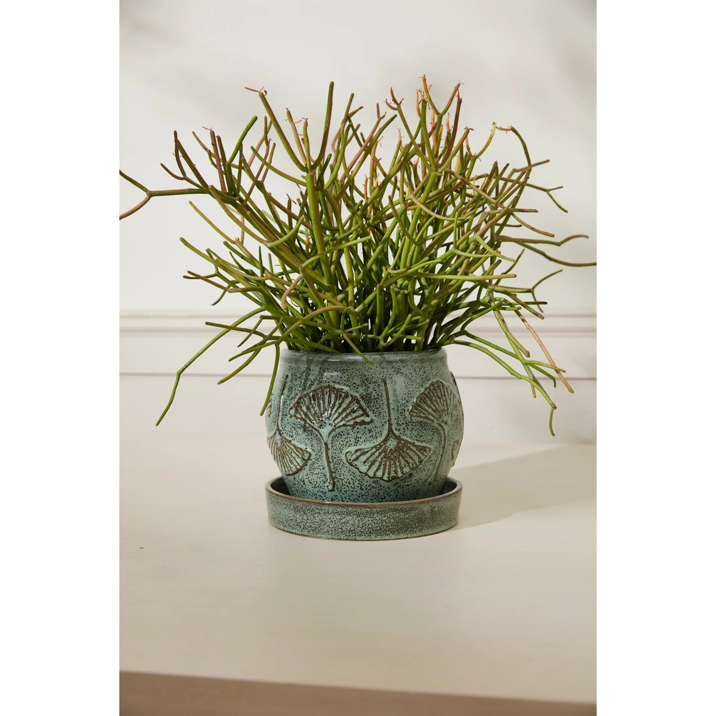 004 SI-2539420 | Lifestyle | Biloba Pot with Saucer by Accent Decor in green. Made from ceramic in a unique style.