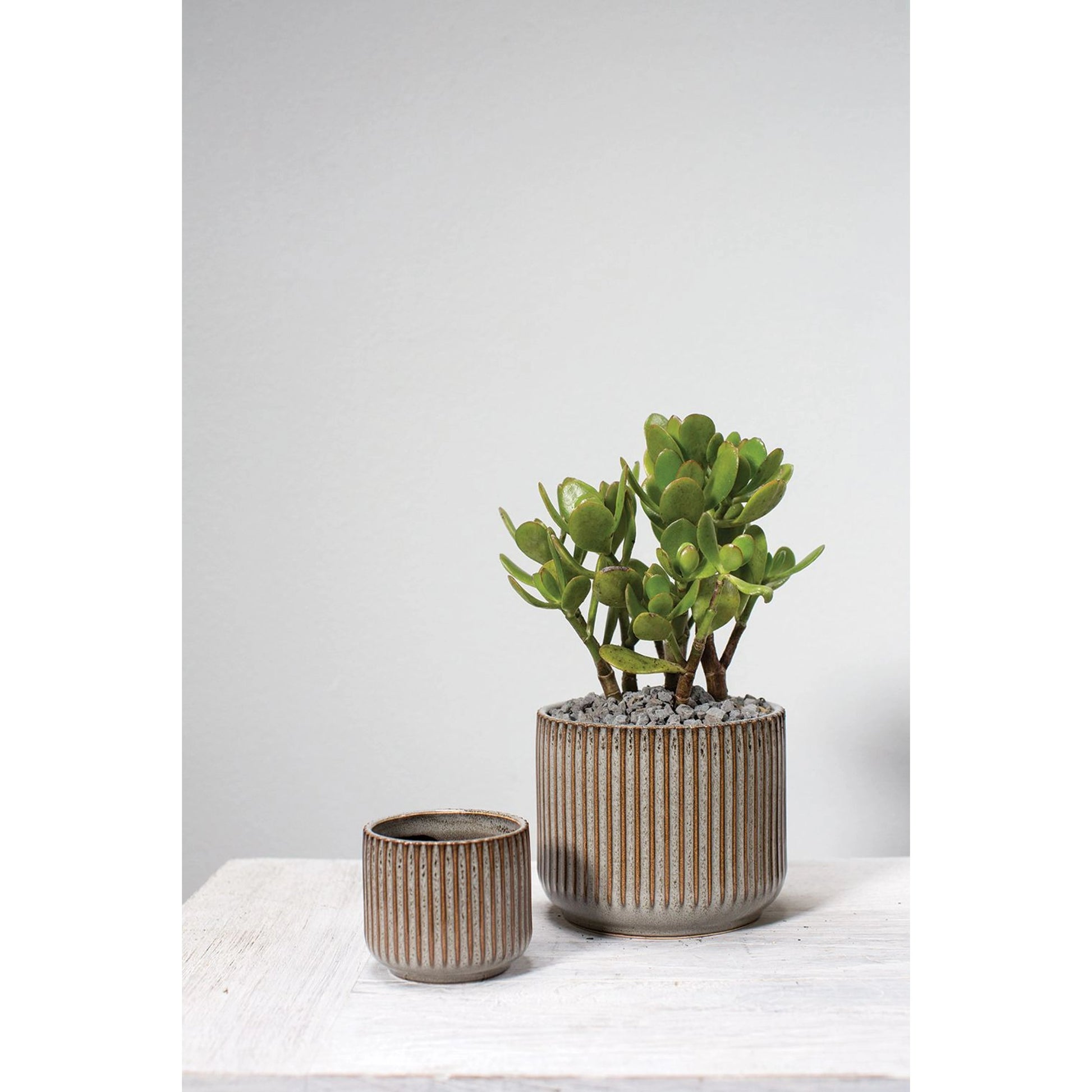 Habitat Pot by Accent Decor in grey. Made from ceramic in a modern style.