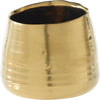 Gold / H 4.5 x W 5.5 x L 5.5