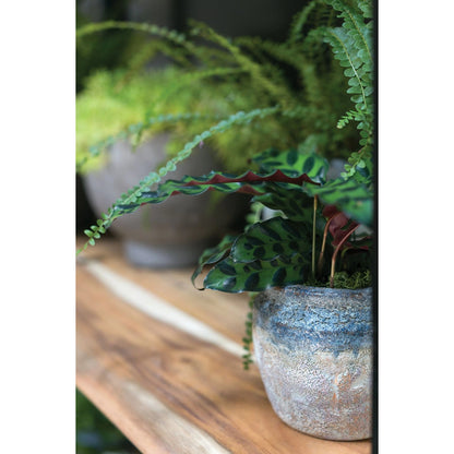 Earthy Pot by Accent Decor in blue. Made from ceramic in a modern style.