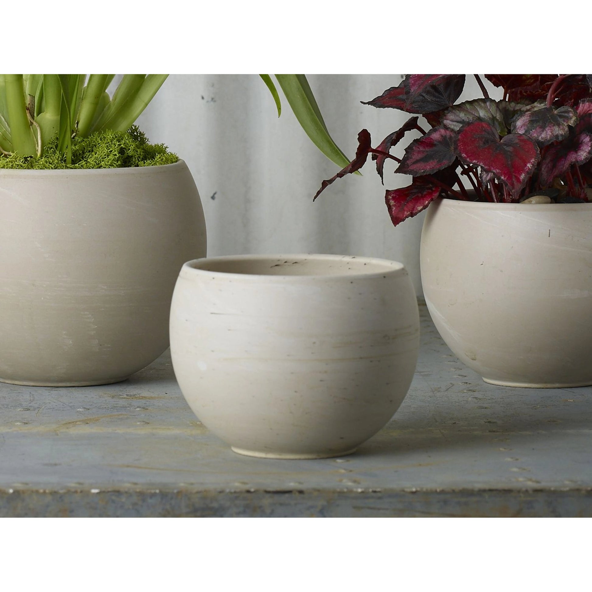 Astrid Pot by Accent Decor. Made from ceramic in a modern style.