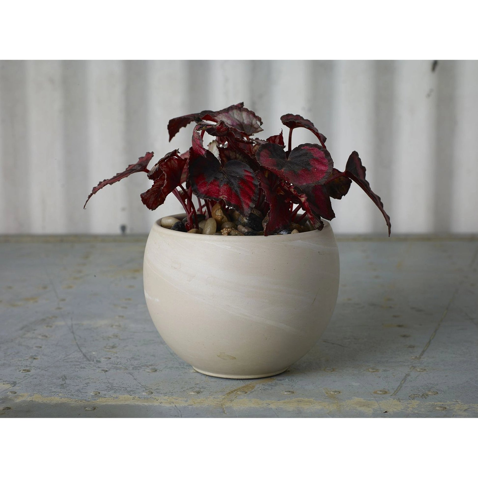 Astrid Pot by Accent Decor. Made from ceramic in a modern style.
