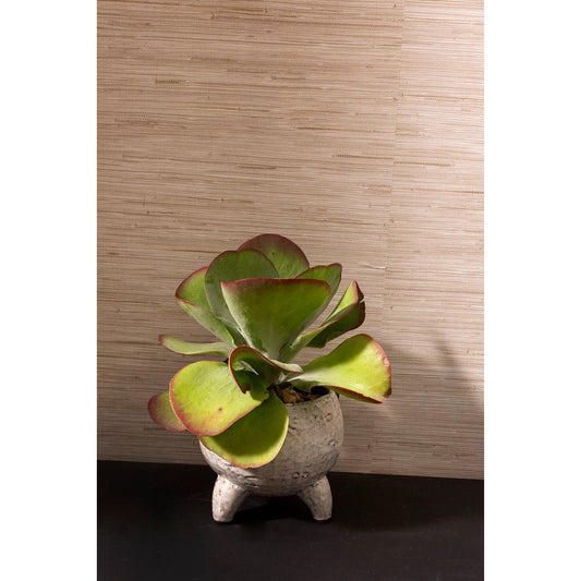 Noah Pot by Accent Decor in tan. Made from ceramic in a unique style.