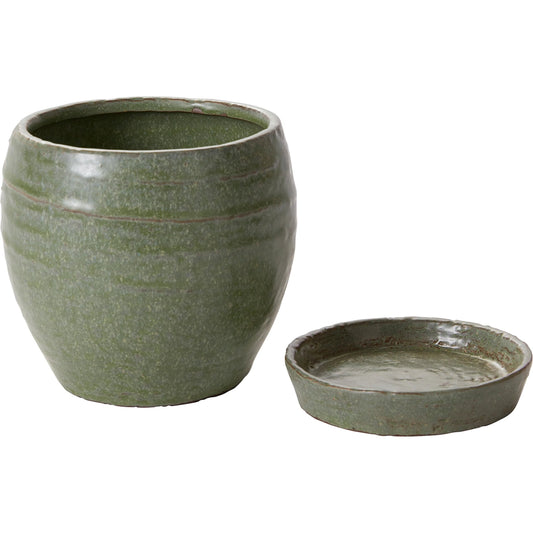 Bradford Pot with Saucer by Accent Decor in green. Made from ceramic in a unique style.
