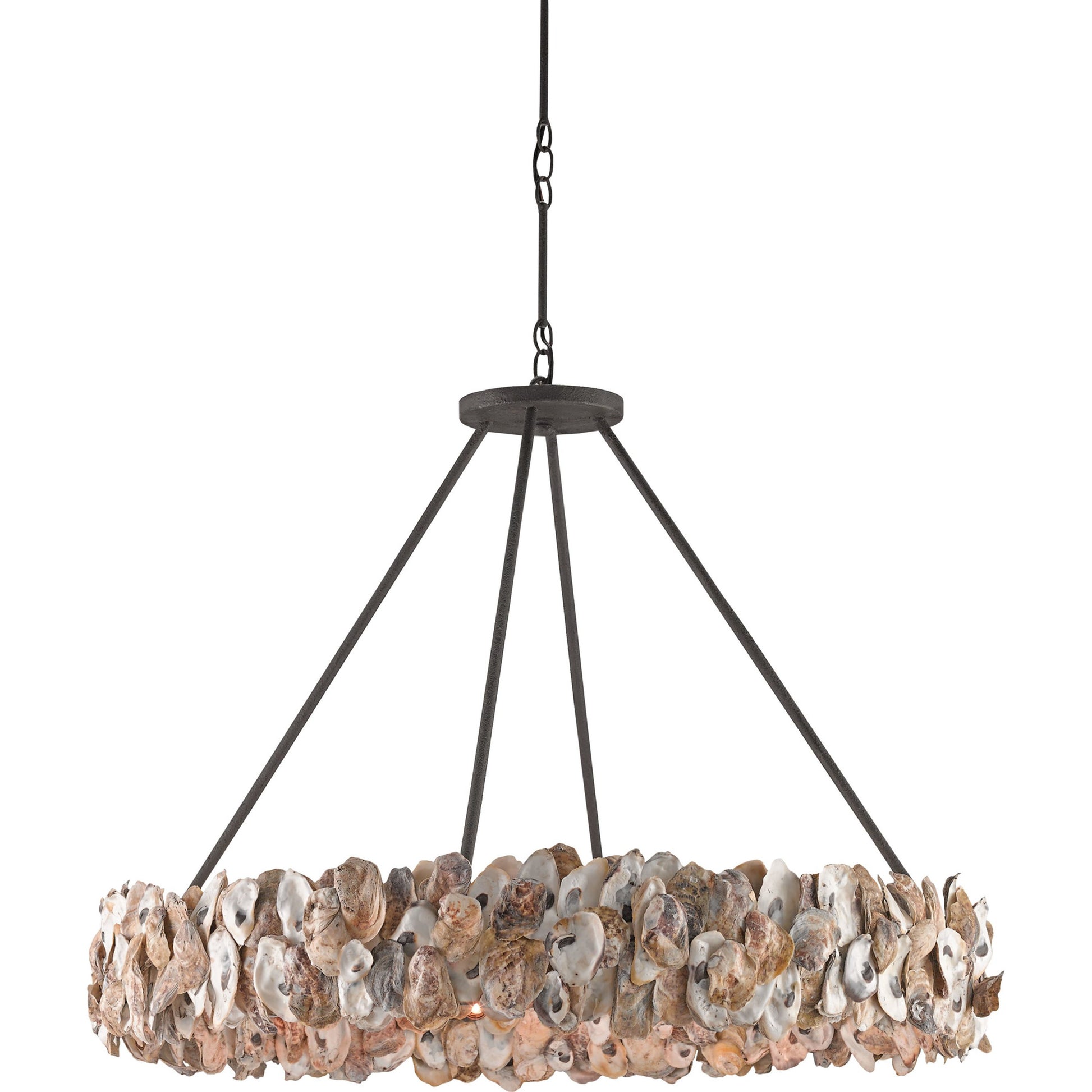 Oyster Circle Chandelier by Currey and Company in textured bronze, natural. Made from wrought iron, oyster shell in a coastal style.