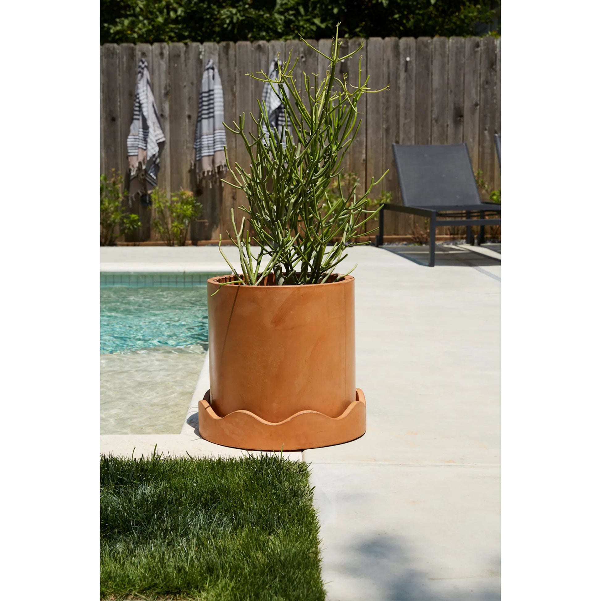 Neda Pot by Accent Decor in terracotta. Made from concrete in a rustic style.