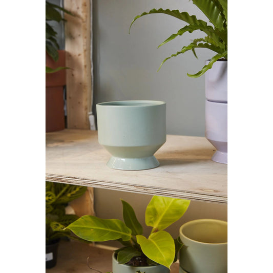 Pasadena Pot by Accent Decor. Made from ceramic in a modern style.