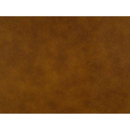 Carrado Stationary Chair by Bradington-Young by Hooker Furniture in brown and plantation finish, brass. Made from 100% leather in a unique style.