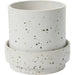 Claton Pot with Saucer by Accent Decor. Made from ceramic in a modern style.