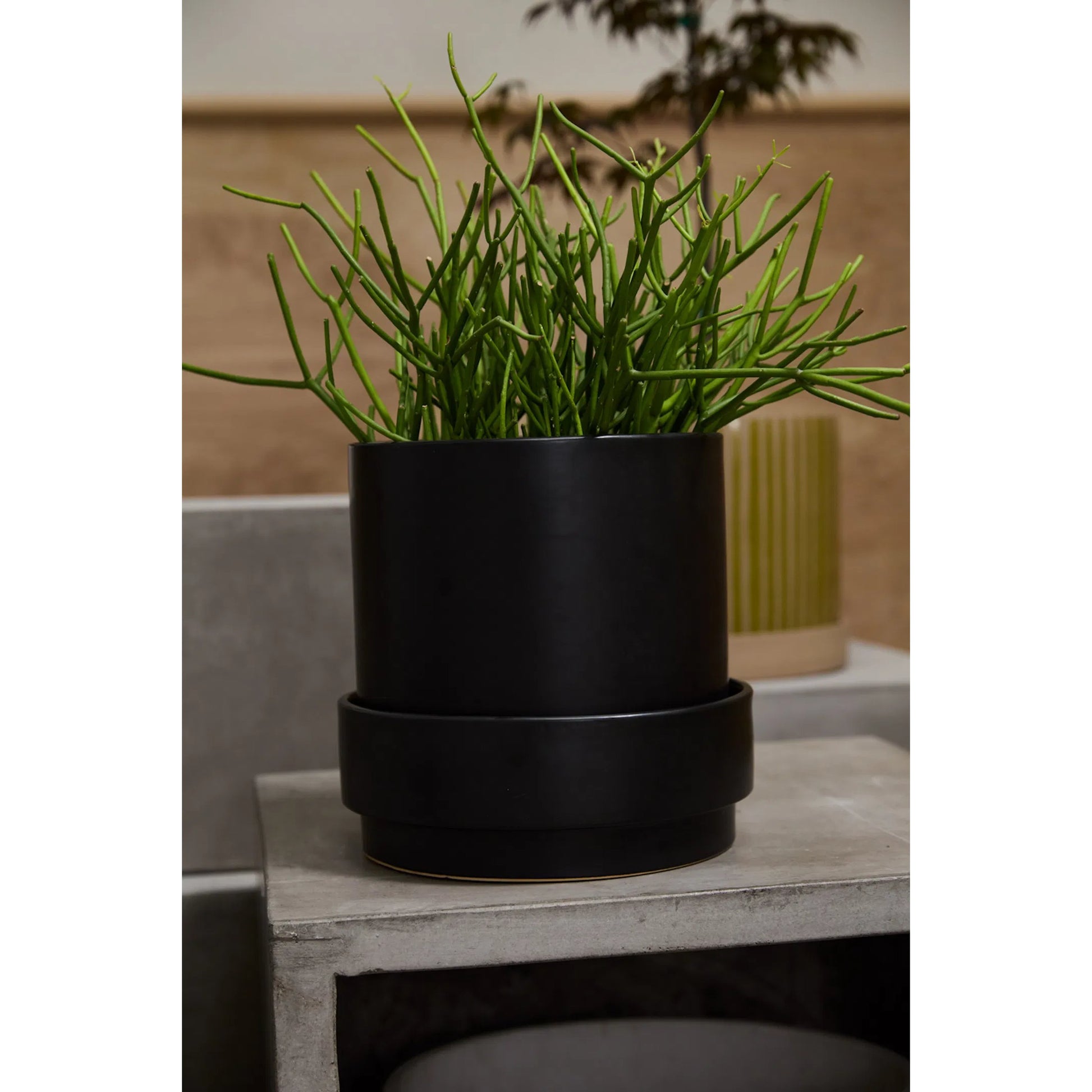 Claton Pot with Saucer by Accent Decor. Made from ceramic in a modern style.