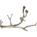 Twig Wine Bottle Holder by Global Views. Made from cast brass in a eclectic & global style.