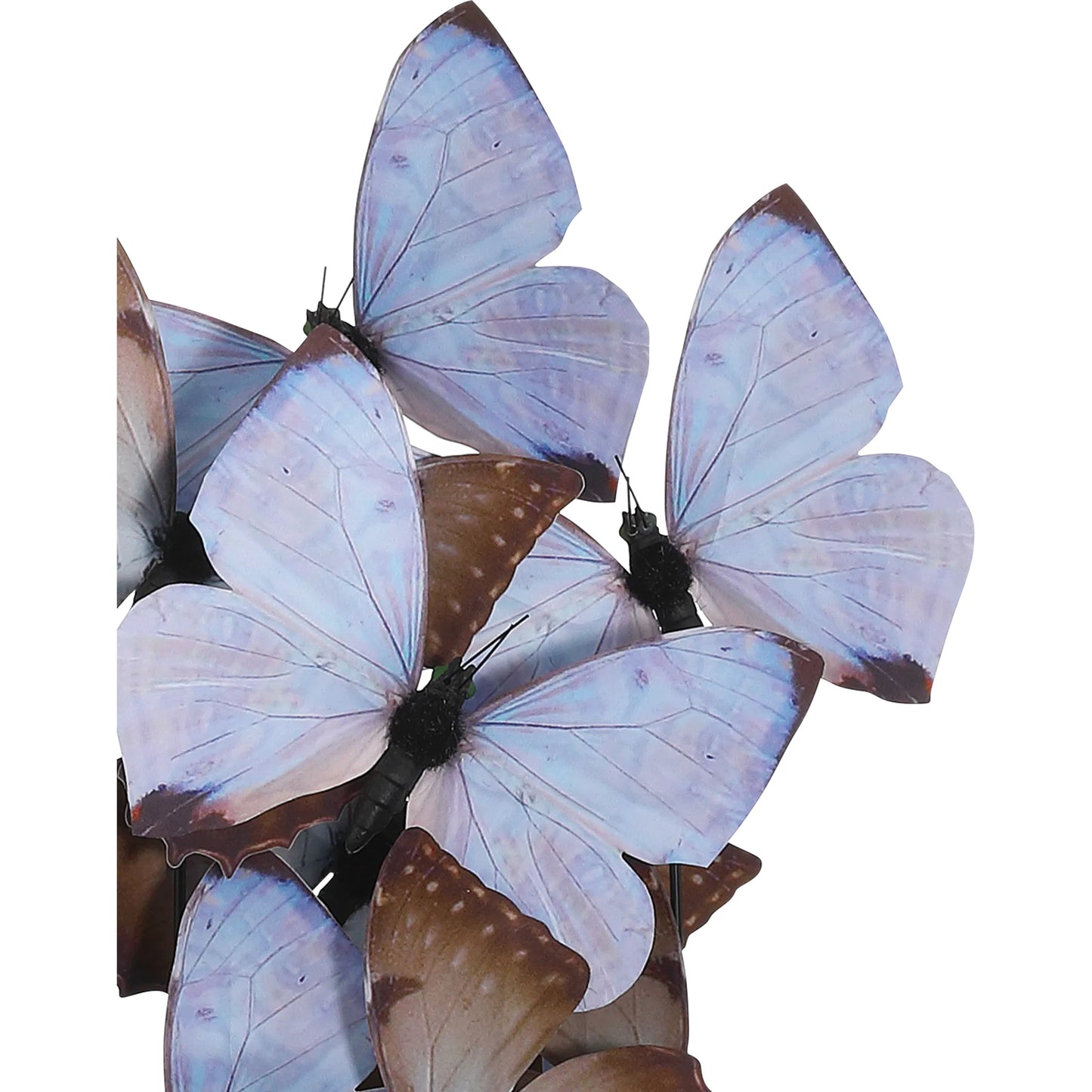 022 SI-2387140 | Closeup | Rue De Bac Butterflies by Currey and Company. Made from paper, engineered wood, glass in a modern style.