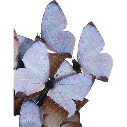 Rue De Bac Butterflies by Currey and Company. Made from paper, engineered wood, glass in a modern style.