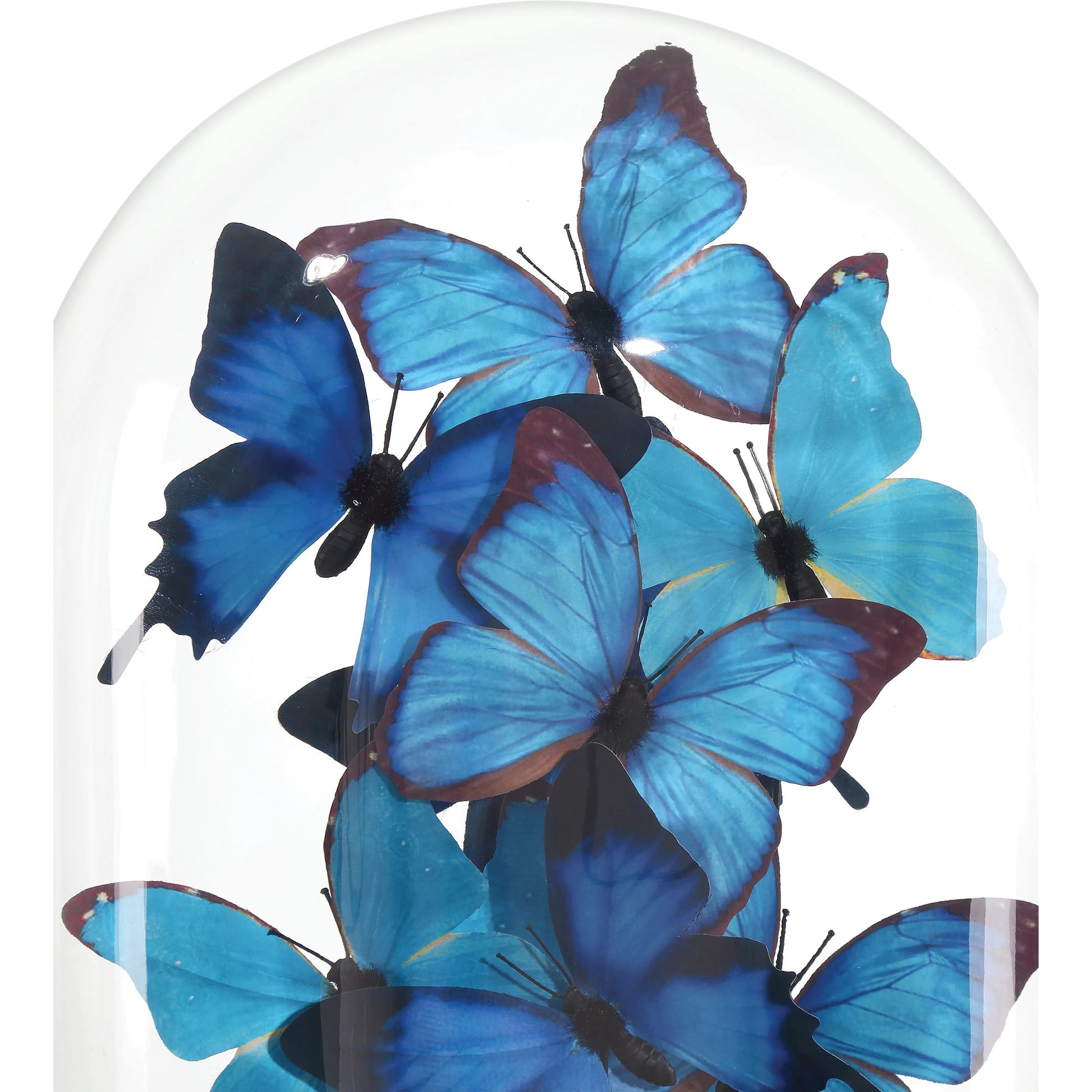 Rue De Bac Butterflies by Currey and Company in blue, black, clear. Made from paper, engineered wood, glass in a modern style.
