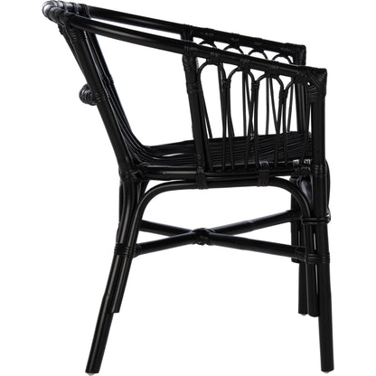 Adriana Rattan Accent Chair by Safavieh. Made from unique in a coastal style.