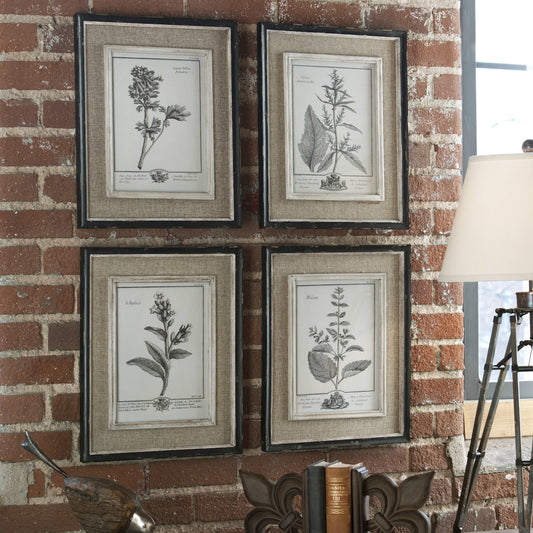Casual Study Framed Art (Set of 4) by Uttermost in multi. Made from pine, mdf, flax, linen in a cottage & farmhouse style.