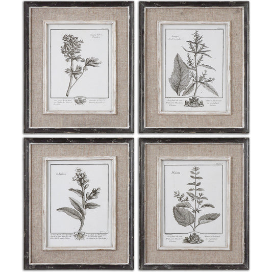 Casual Study Framed Art (Set of 4) by Uttermost in multi. Made from pine, mdf, flax, linen in a cottage & farmhouse style.