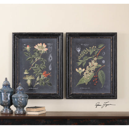 Midnight Botanicals Wall Art (Set of 2) by Uttermost in multi. Made from mdf in a cottage & farmhouse style.