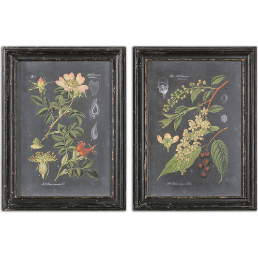 Midnight Botanicals Wall Art (Set of 2) by Uttermost in multi. Made from mdf in a cottage & farmhouse style.