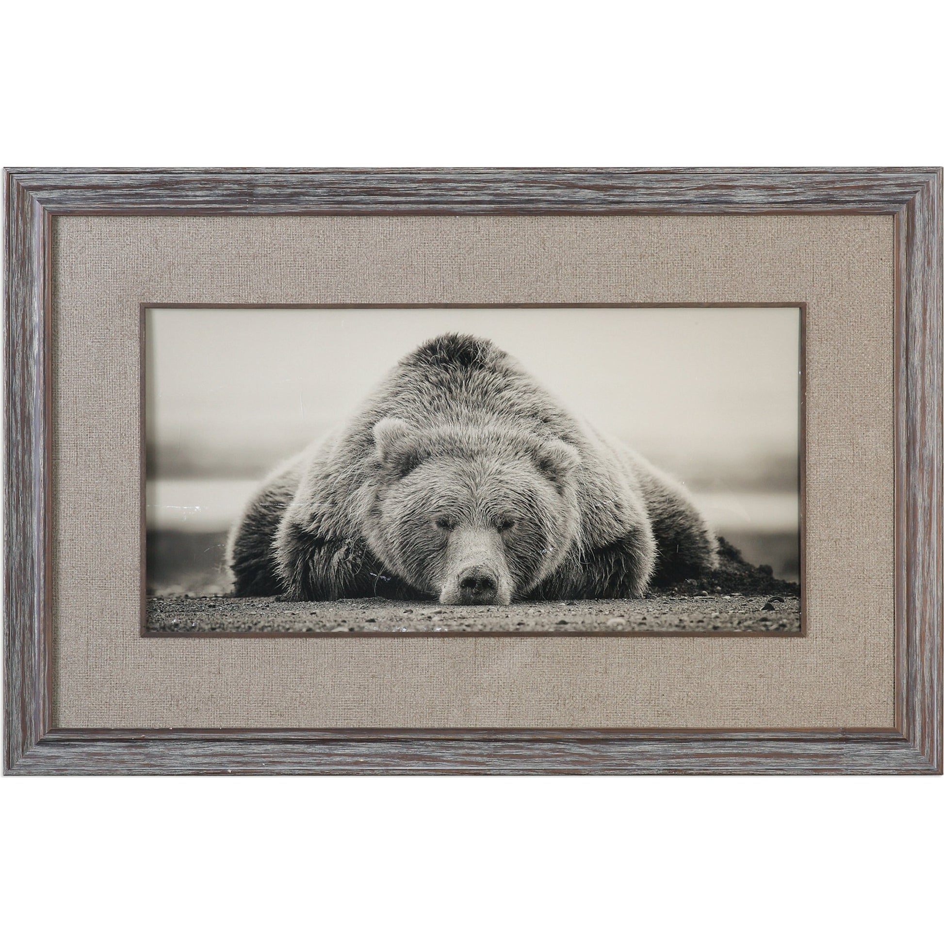 Deep Sleep Bear Print by Uttermost in multi. Made from pine wood, glass in a rustic style.