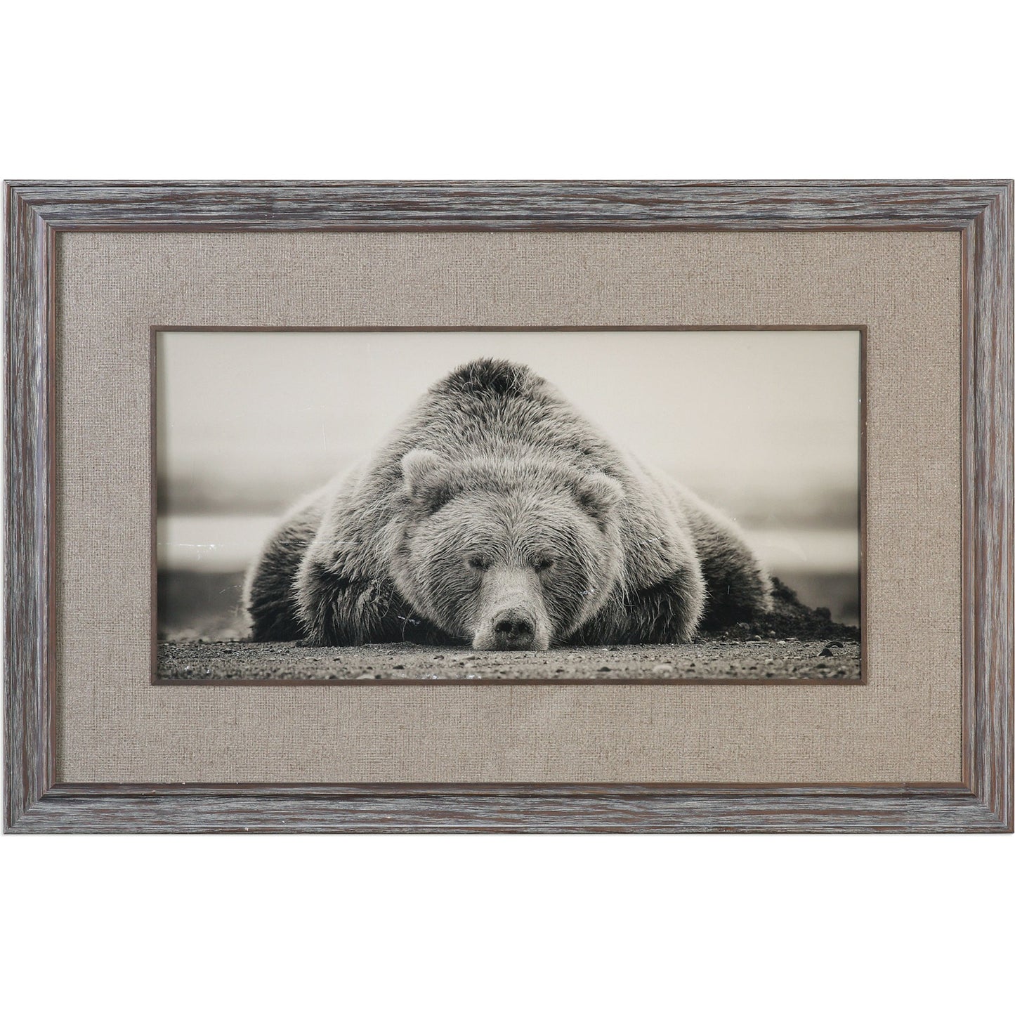 001 S-253990 | Primary Silo | Deep Sleep Bear Print by Uttermost in multi. Made from pine wood, glass in a rustic style.
