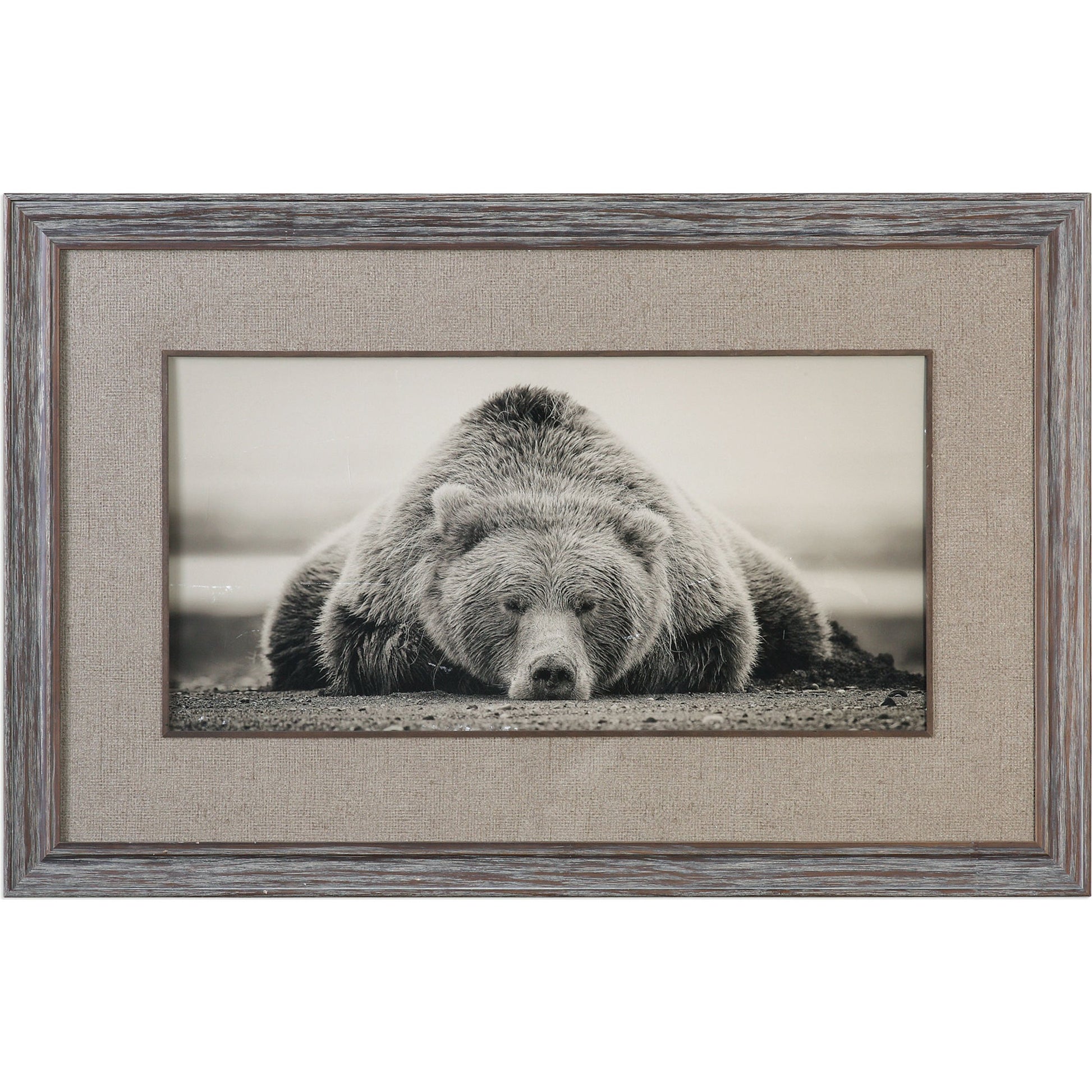 Deep Sleep Bear Print by Uttermost in multi. Made from pine wood, glass in a rustic style.