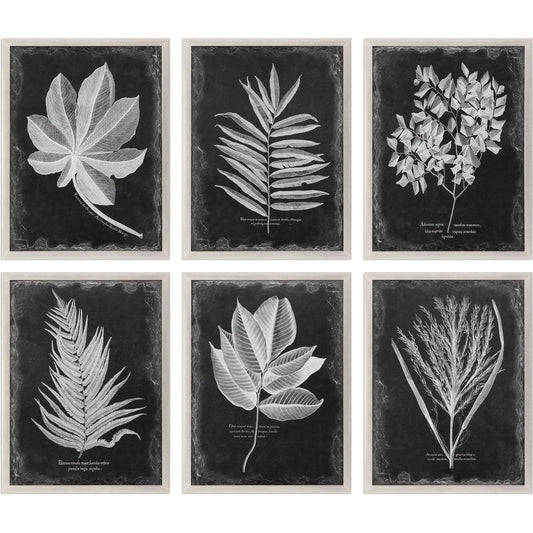 Foliage Framed Prints (Set of 6) by Uttermost in multi. Made from plastic, glass in a cottage & farmhouse style.