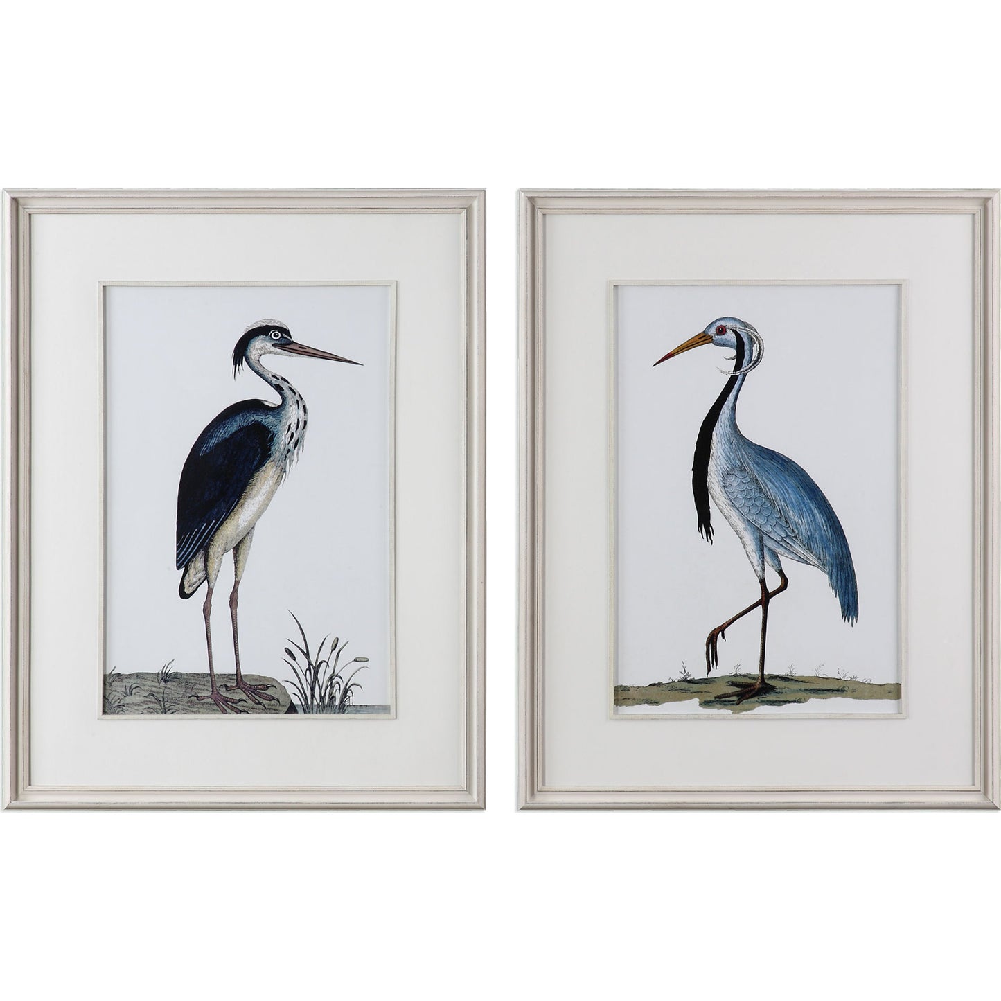 001 S-253995 | Primary Silo | Shore Birds Framed Prints (Set of 2) by Uttermost in multi. Made from pine, glass in a coastal style.