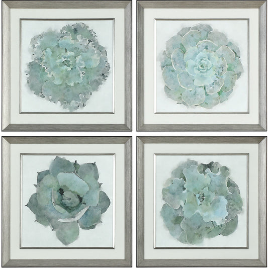 Natural Beauties Botanical Prints (Set of 4) by Uttermost in multi. Made from plastic, glass in a modern style.
