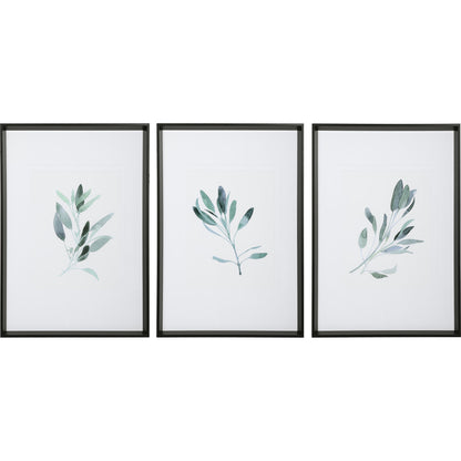 Simple Sage Watercolor Prints by Uttermost in multi. Made from plastic, glass, paper in a transitional style.