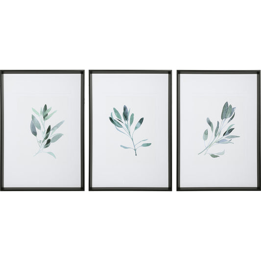Simple Sage Watercolor Prints by Uttermost in multi. Made from plastic, glass, paper in a transitional style.