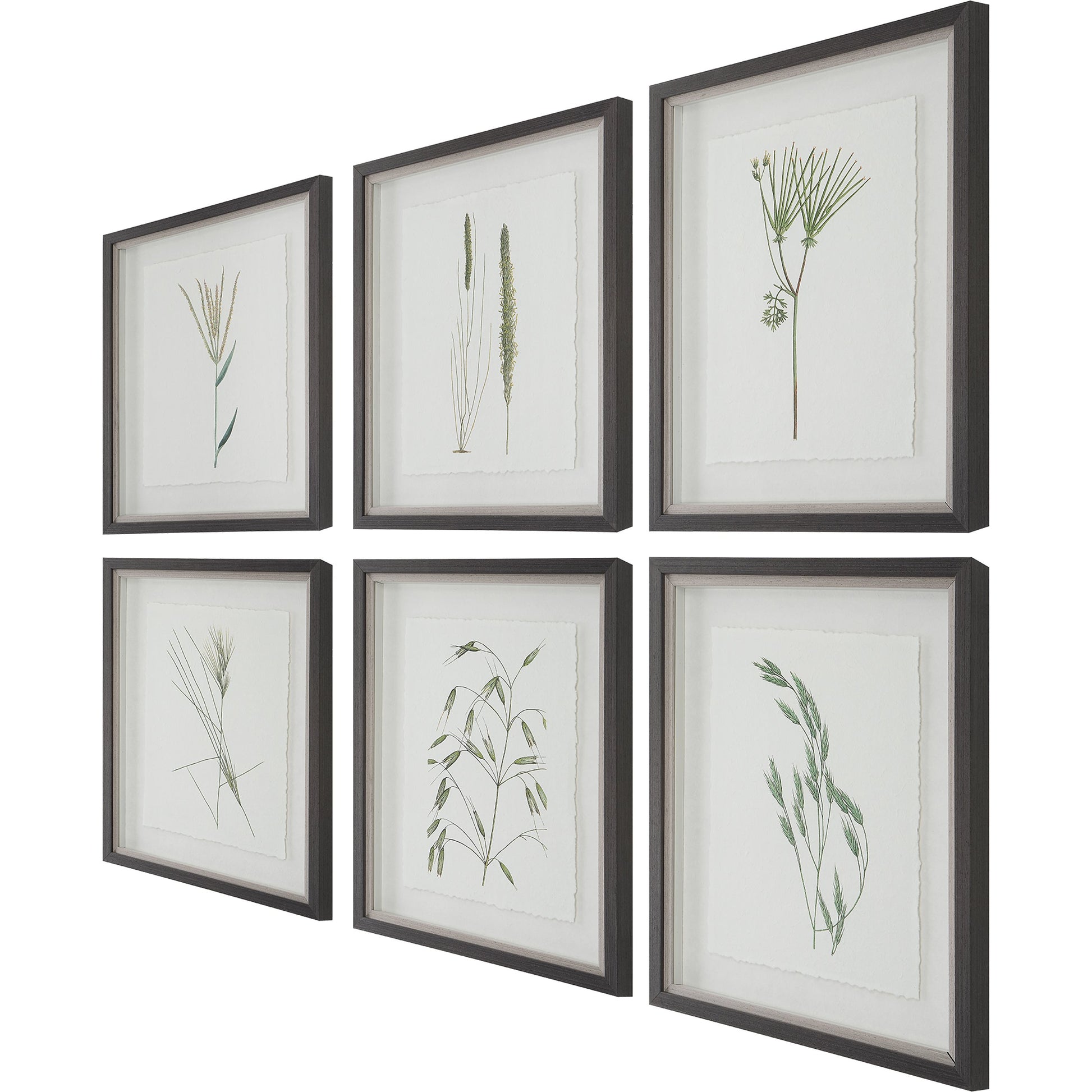 Forest Finds Framed Prints by Uttermost in multi and dark espresso. Made from plastic, glass, paper in a modern style.