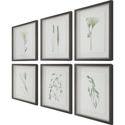 Forest Finds Framed Prints by Uttermost in multi and dark espresso. Made from plastic, glass, paper in a modern style.
