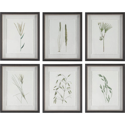 Forest Finds Framed Prints by Uttermost in multi and dark espresso. Made from plastic, glass, paper in a modern style.