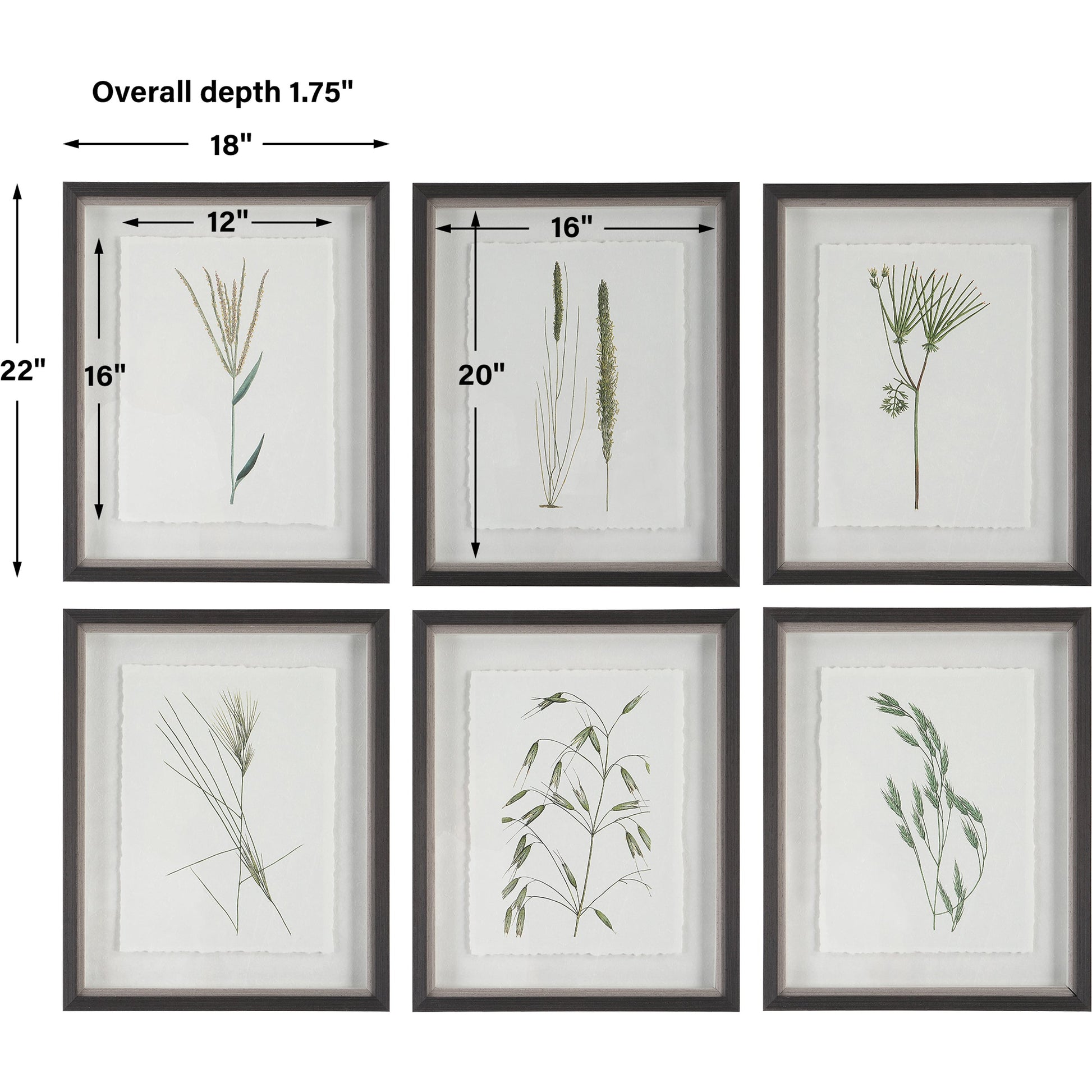 Forest Finds Framed Prints by Uttermost in multi and dark espresso. Made from plastic, glass, paper in a modern style.