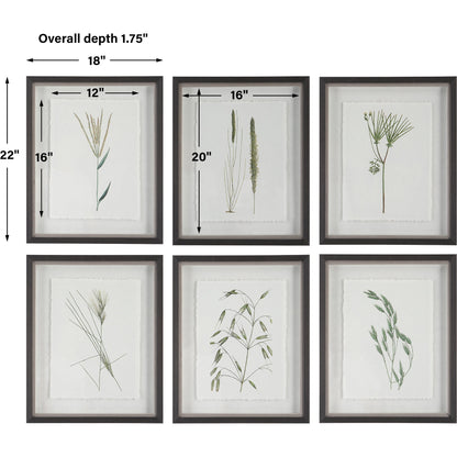 Forest Finds Framed Prints by Uttermost in multi and dark espresso. Made from plastic, glass, paper in a modern style.