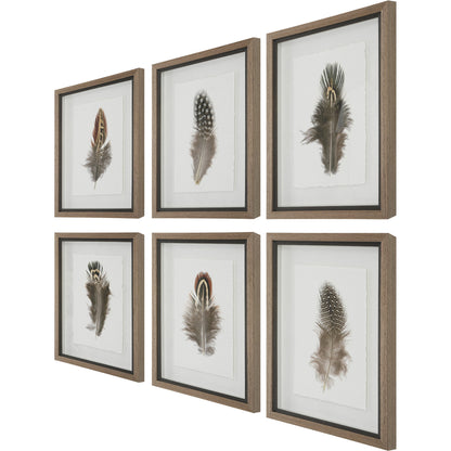 Birds of a Feather Framed Prints by Uttermost in multi. Made from plastic, glass, paper in a modern style.