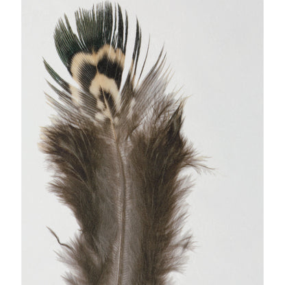 Birds of a Feather Framed Prints by Uttermost in multi. Made from plastic, glass, paper in a modern style.