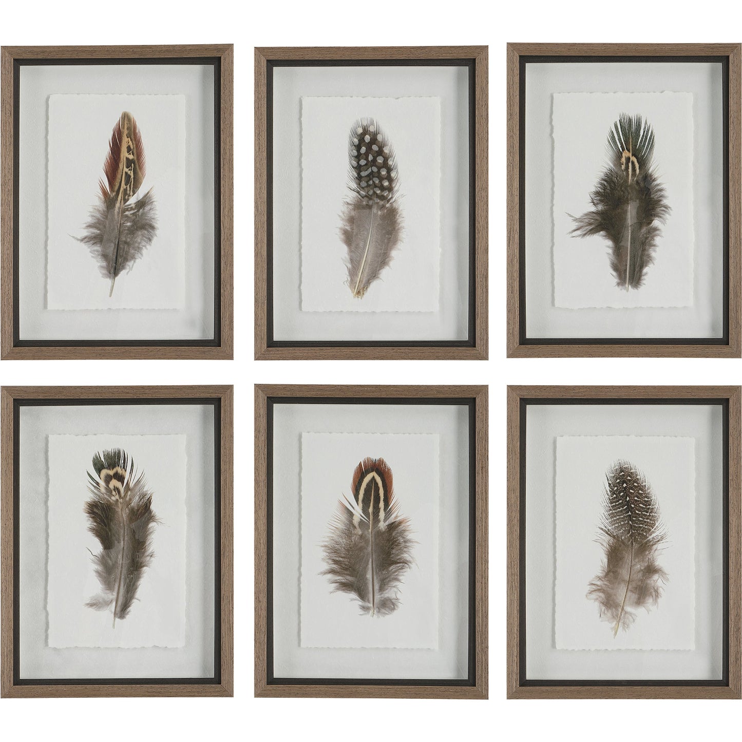 001 SI-1981474 | Primary Silo | Birds of a Feather Framed Prints by Uttermost in multi. Made from plastic, glass, paper in a modern style.