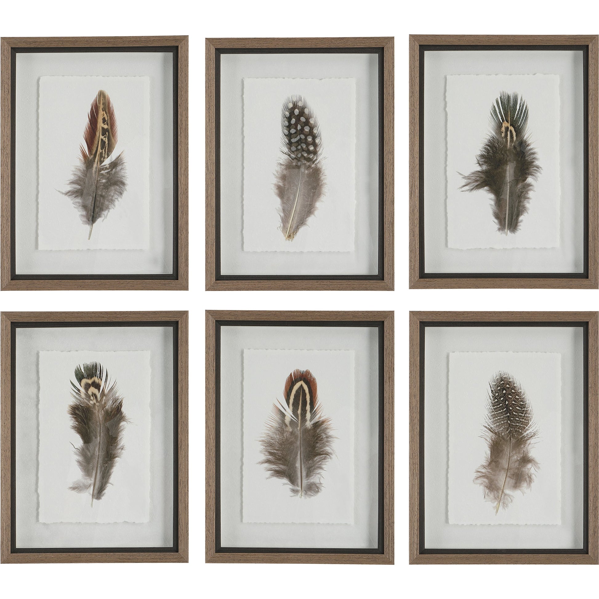 Birds of a Feather Framed Prints by Uttermost in multi. Made from plastic, glass, paper in a modern style.