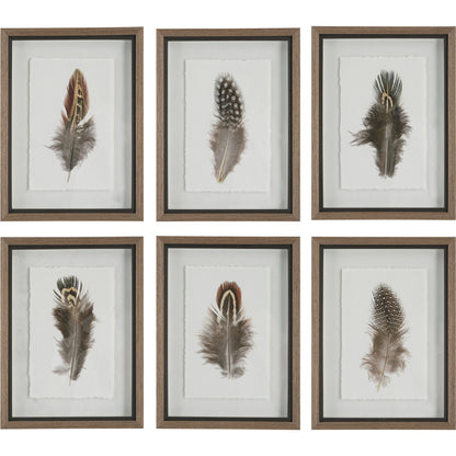 Birds of a Feather Framed Prints by Uttermost in multi. Made from plastic, glass, paper in a modern style.