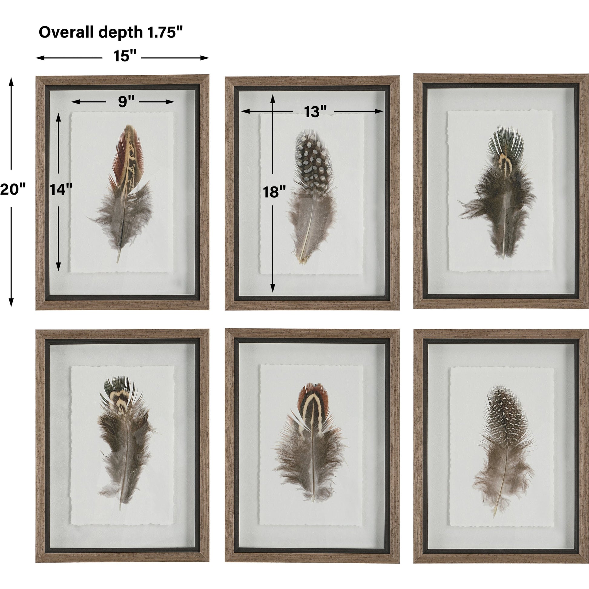Birds of a Feather Framed Prints by Uttermost in multi. Made from plastic, glass, paper in a modern style.