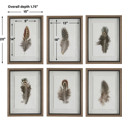 Birds of a Feather Framed Prints by Uttermost in multi. Made from plastic, glass, paper in a modern style.