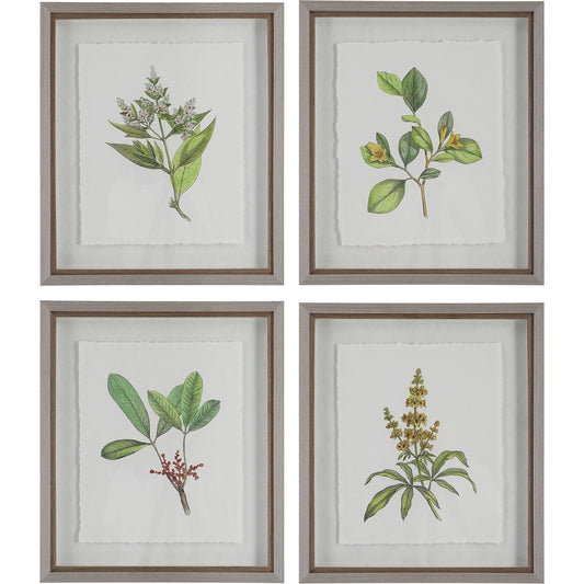 Wildflower Study Framed Prints by Uttermost in multi and light gray. Made from plastic, glass, paper in a modern style.