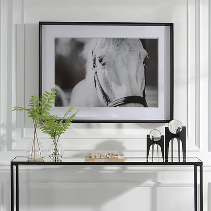 Eyes on the Prize Framed Print by Uttermost in multi and satin black. Made from pinewood, glass, mdf, paper in a modern style.