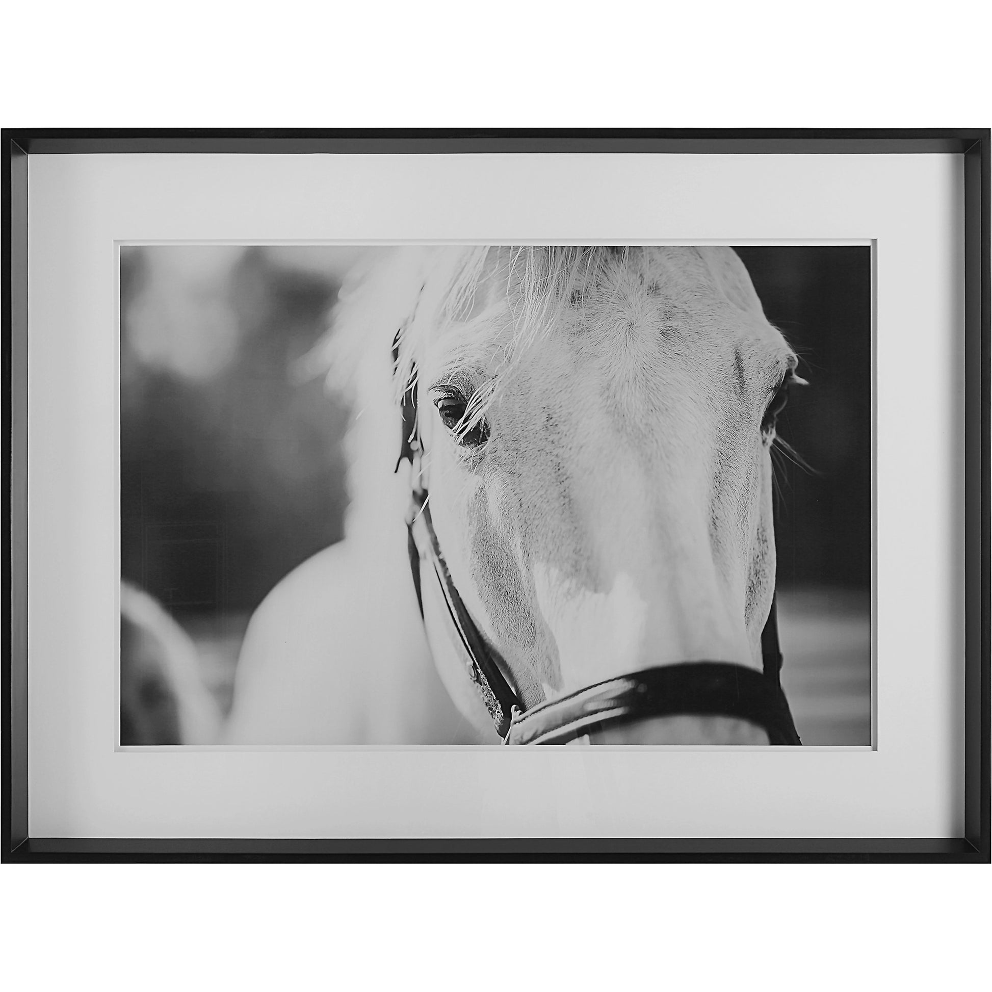 Eyes on the Prize Framed Print by Uttermost in multi and satin black. Made from pinewood, glass, mdf, paper in a modern style.