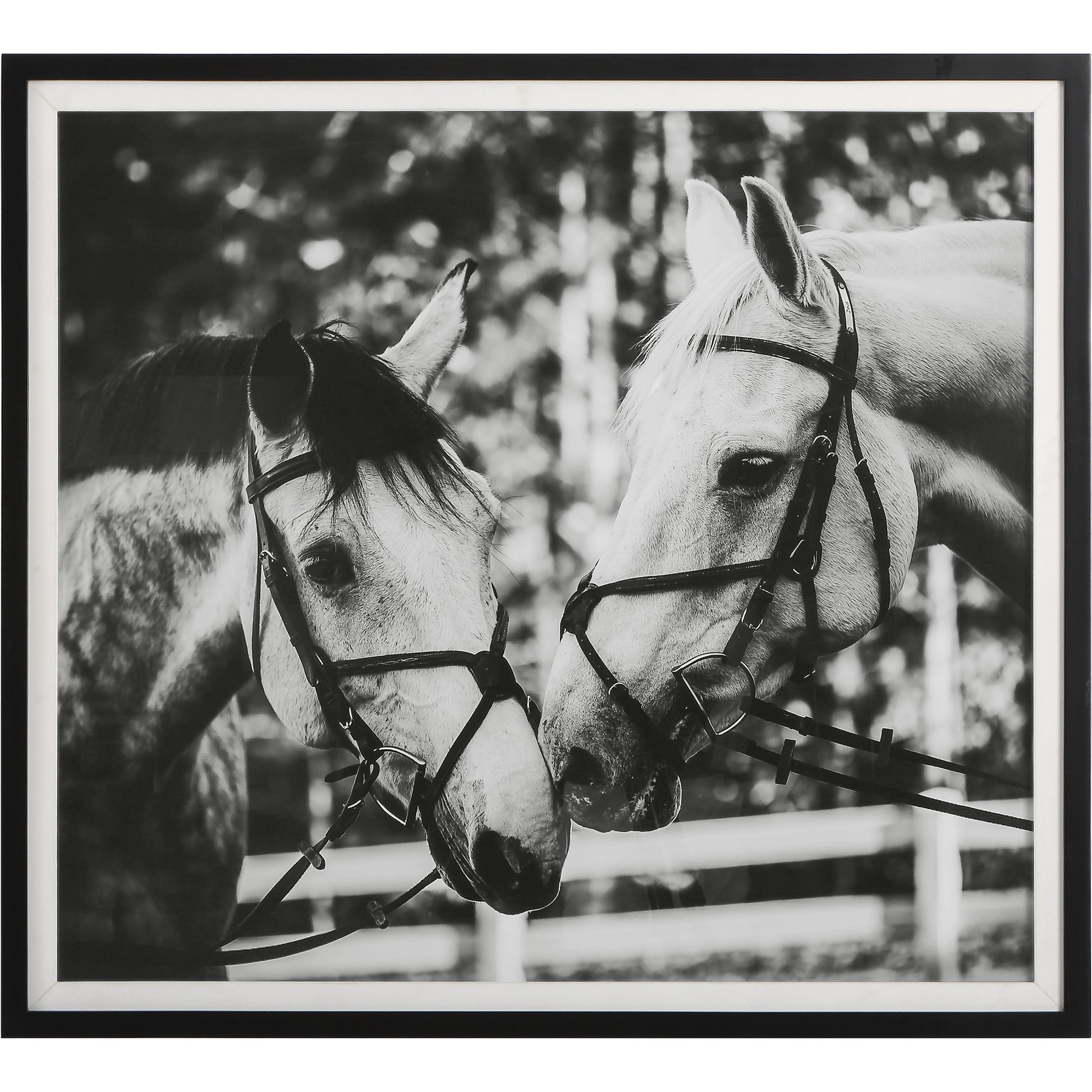 Apple of My Eye Framed Print by Uttermost in black, white. Made from pinewood, glass, mdf, paper, linen in a modern style.