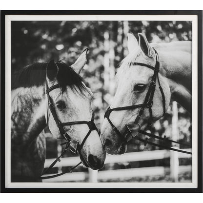 Apple of My Eye Framed Print by Uttermost in black, white. Made from pinewood, glass, mdf, paper, linen in a modern style.